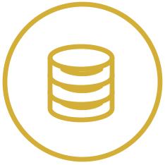 Icon münzen gold